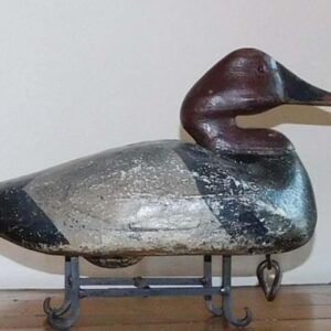 A Joe Roesling Canvasback show if its signature “snaky” head