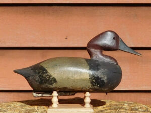 A Joe Roesling Canvasback show if its signature “snaky” head
