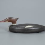 John Dawson Merganser Hen