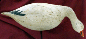 snowgoose