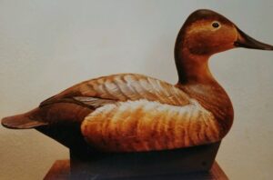 Koelpin Decoy
