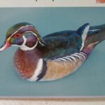 Koelpin Decoy 3