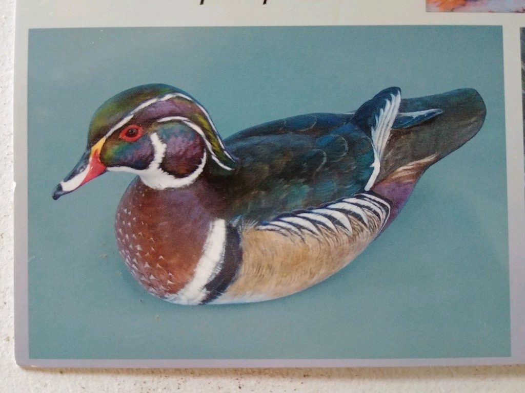 Koelpin Decoy 3