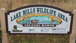 lake-mills-awa