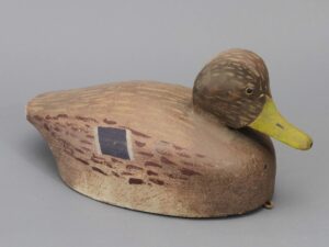 Lemke mallard