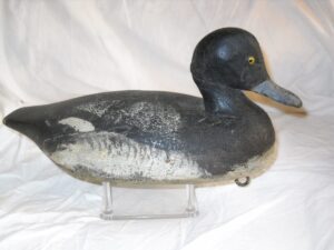Bluebill