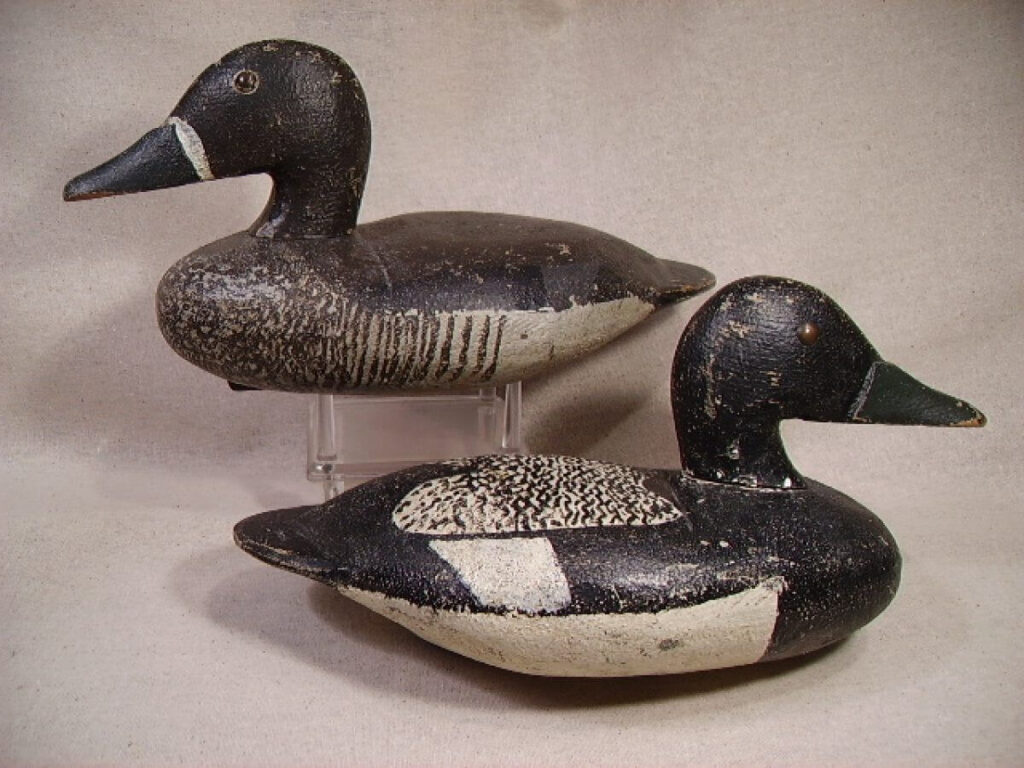 Manthey bluebills