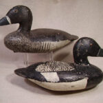 Manthey bluebills