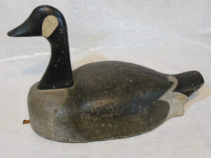 Strahota Canada Goose