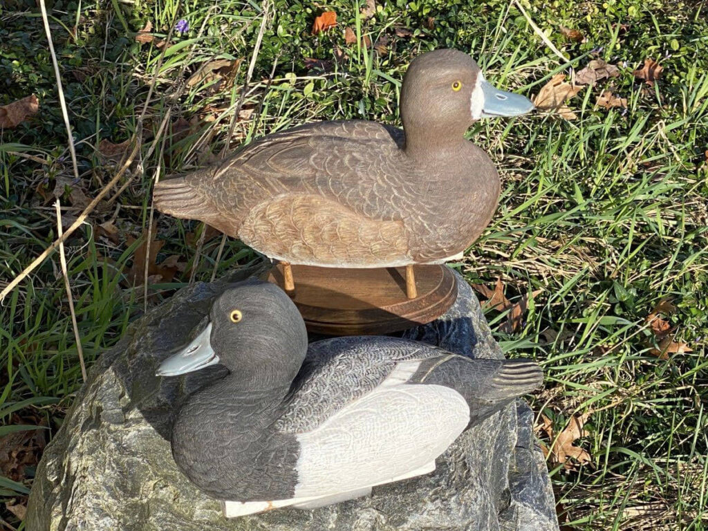 Milt Geyer bluebills