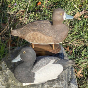 Milt Geyer bluebills