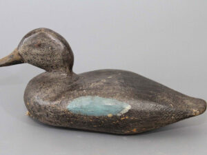 Myron Mackowski Blue Wing Teal