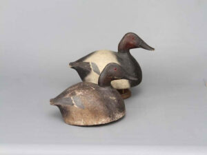 Myron Mackowski canvasbacks