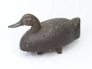 Blackduck