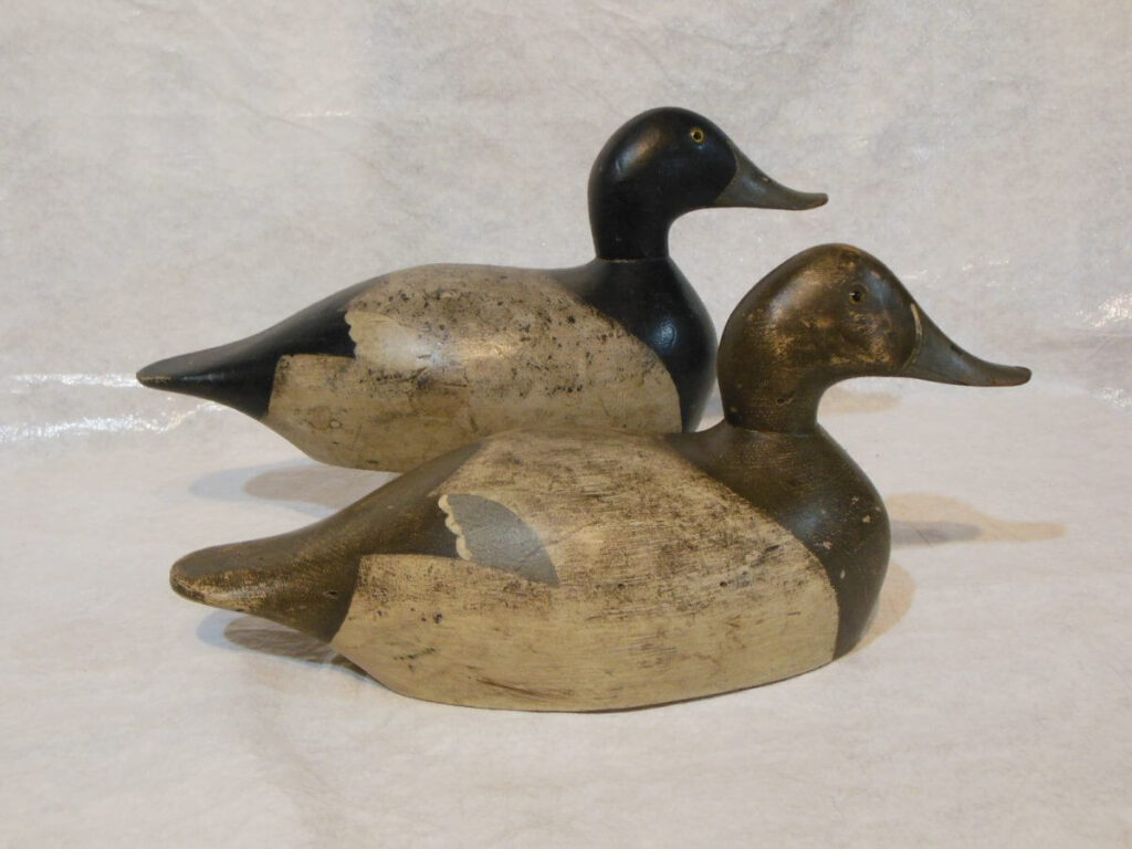 Ollie Drahn Bluebill
