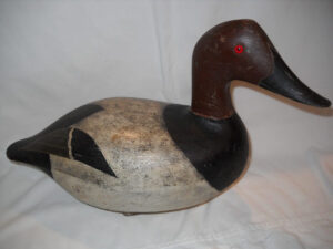 Ollie Drahn Canvasback