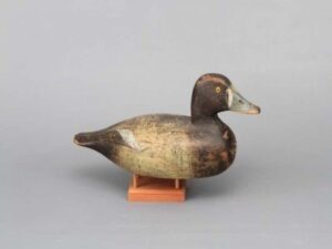 Ora Clough Bluebill
