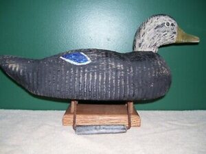 PADCO black duck