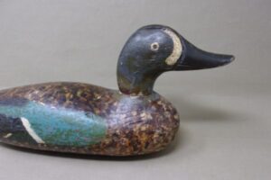 PADCO ring-necked hen