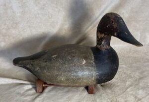 Realistic Decoy Co. Canvasback