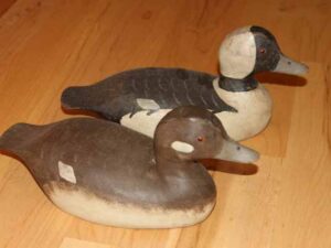 Ron Koch Buffleheads