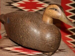 Discher/Koepsel mallard