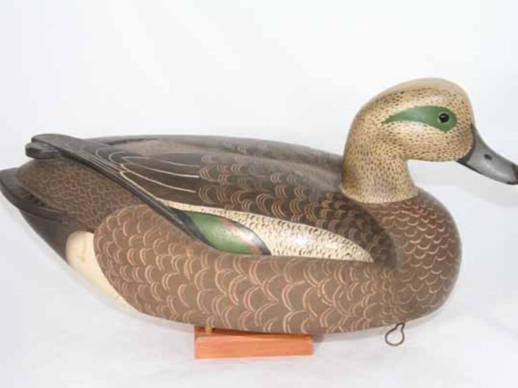 Widgeon