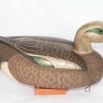 Widgeon