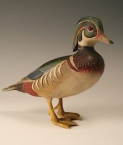 A Ward Brothers Standing Wood Duck Decoy