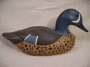 Steve Houman blue wing teal