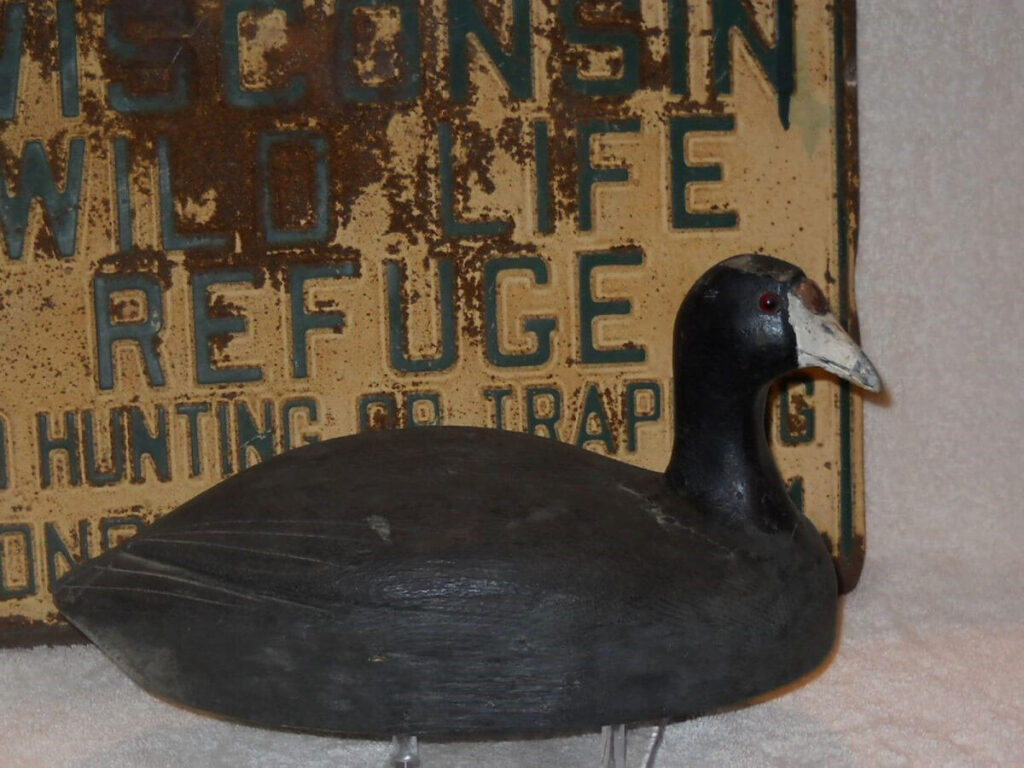 Ted Thyrion Coot