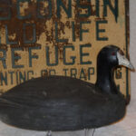 Ted Thyrion Coot