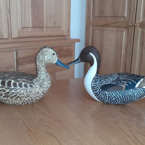 Tom Peters decoys