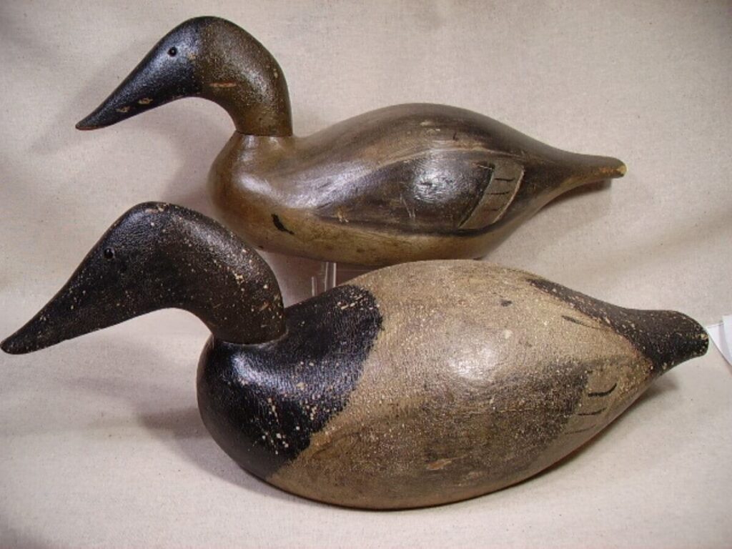 Torssell canvasback 2