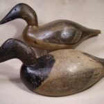 Torssell canvasback 2