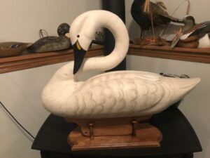Bruce Urben swan