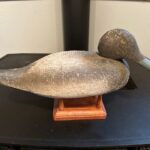 Voight hen. bluebill