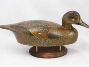 Walter Lowry widgeon