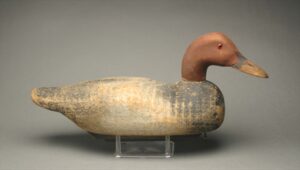 Walter Ruppel Canvasback