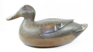 Warren Dettman hen mallard