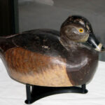 Warren Dettman ring-necked hen