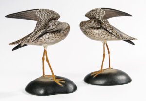 Yellowlegs pair