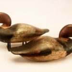 Doge Canvasback Drake