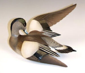 A Ward decoy
