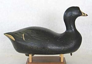 wisconsin coot decoy