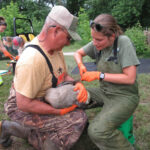Banding a Goose